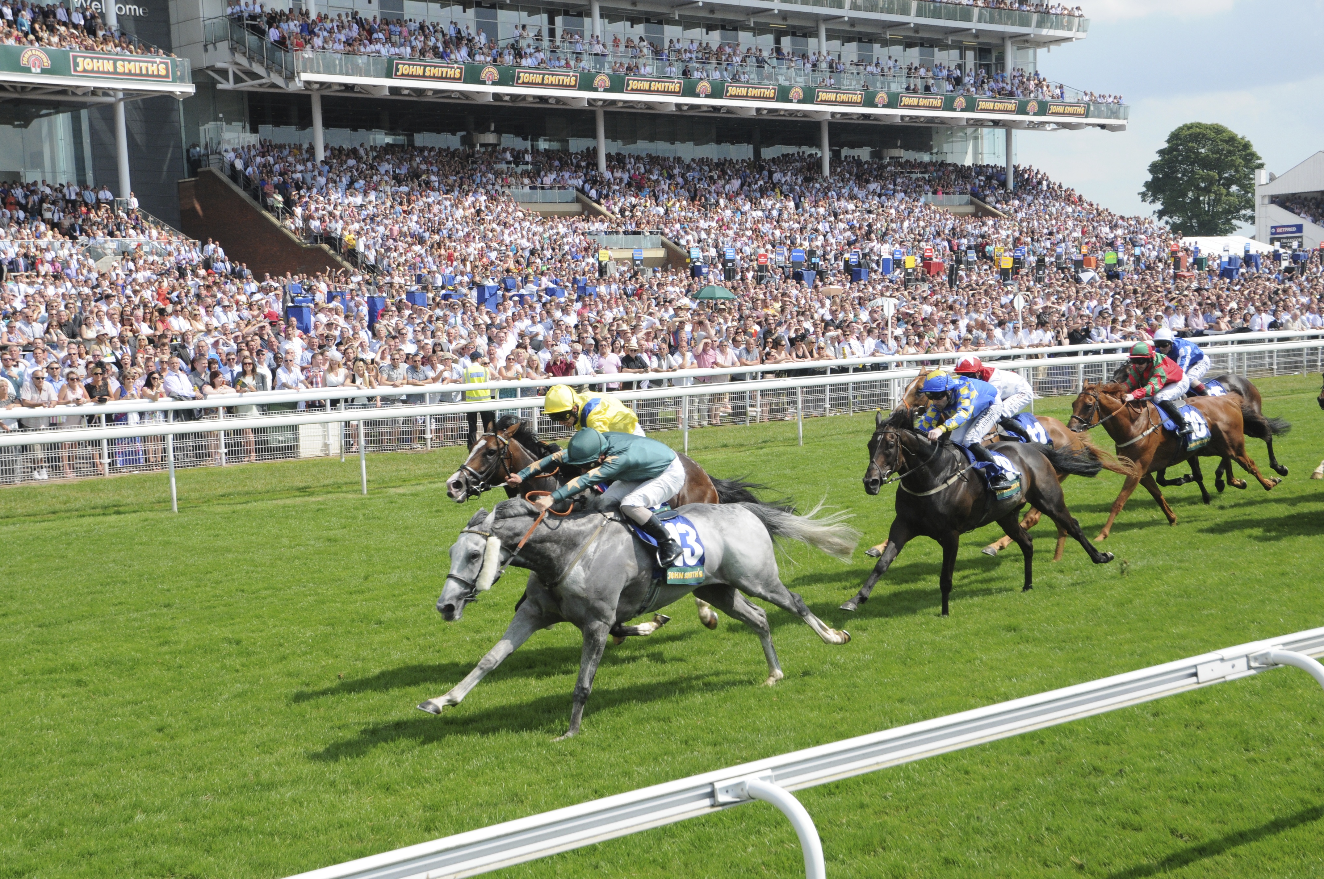 Raceday Routine York Racecourse